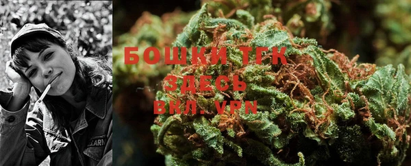 гидра Михайловка