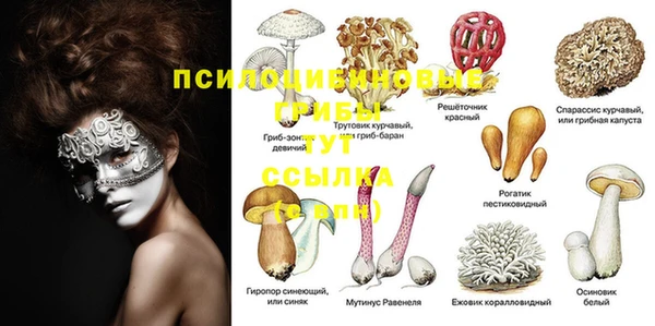 apvp Нея