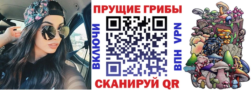 Псилоцибиновые грибы Cubensis  купить наркоту  Калининск 